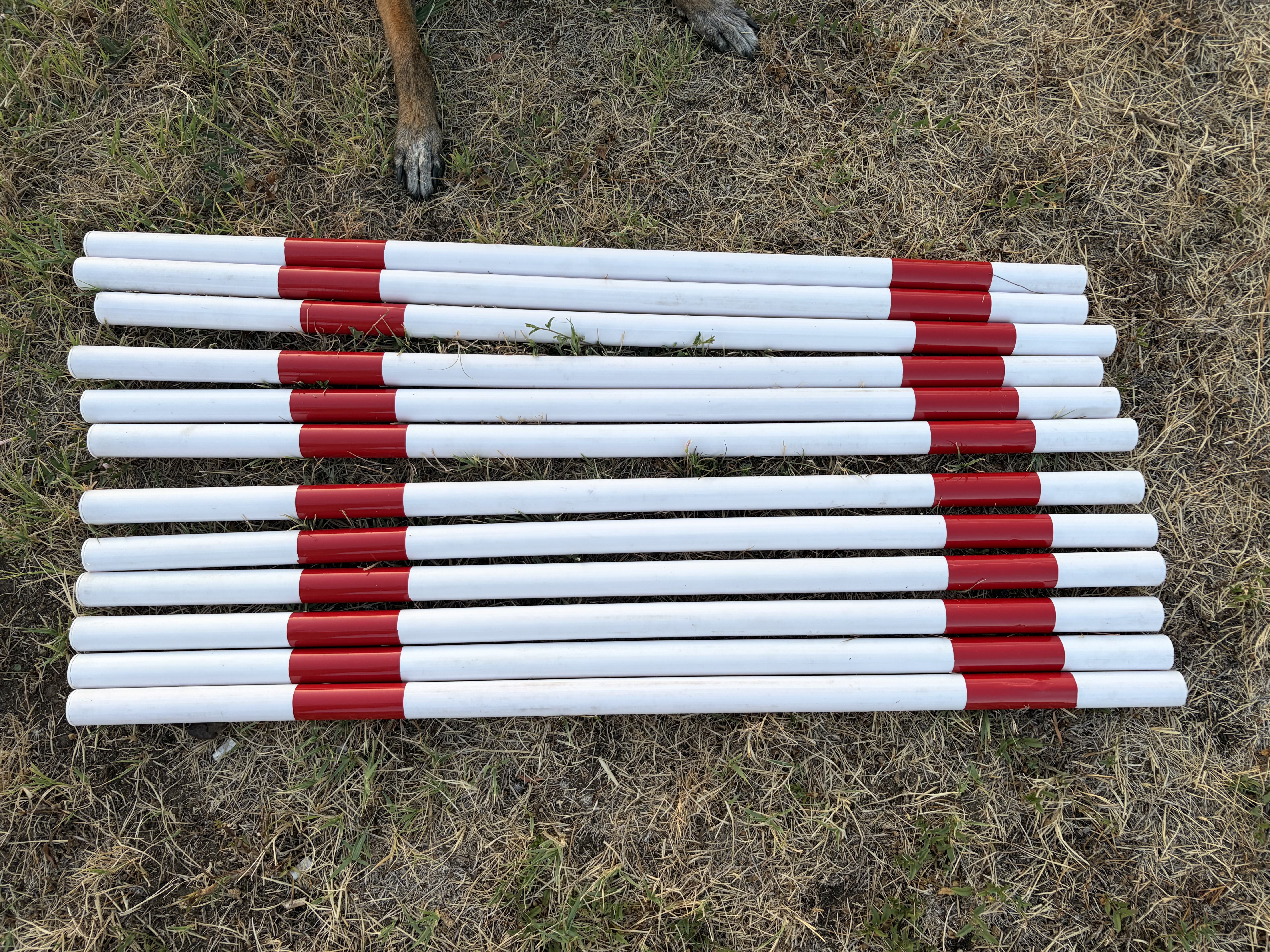 Slalom pole